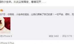 明星资讯是什么意思,揭秘娱乐圈最新动态