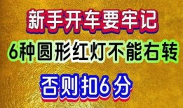 独家爆料网免费入口